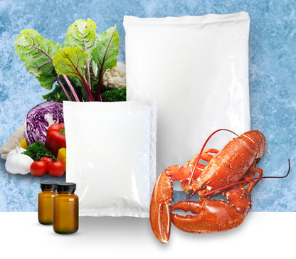 Protecta Chill Gel Ice Pack 750 grams (carton of 14)