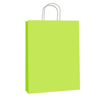 Green Kraft w/twist handle  (price per 250) - BagMasters Australia