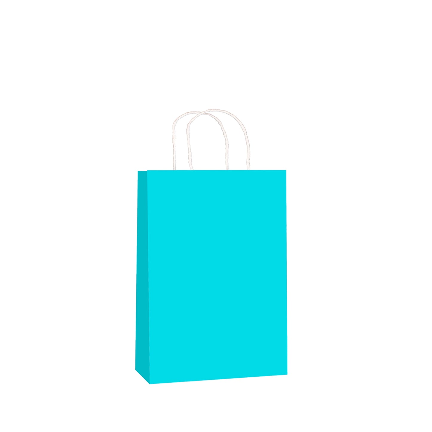 Sky Blue Kraft w/twist handle  (price per 250) - BagMasters Australia