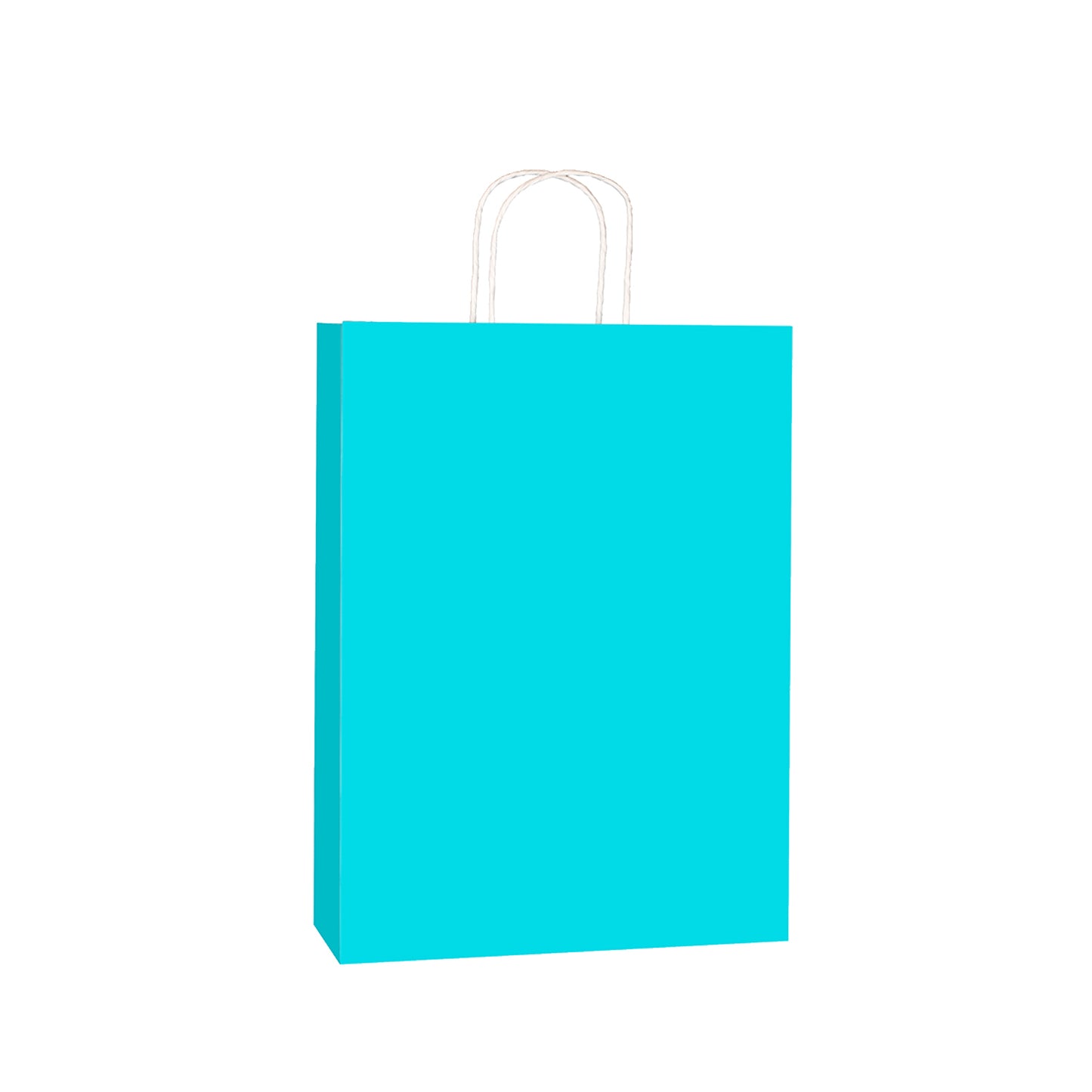 Sky Blue Kraft w/twist handle  (price per 250) - BagMasters Australia