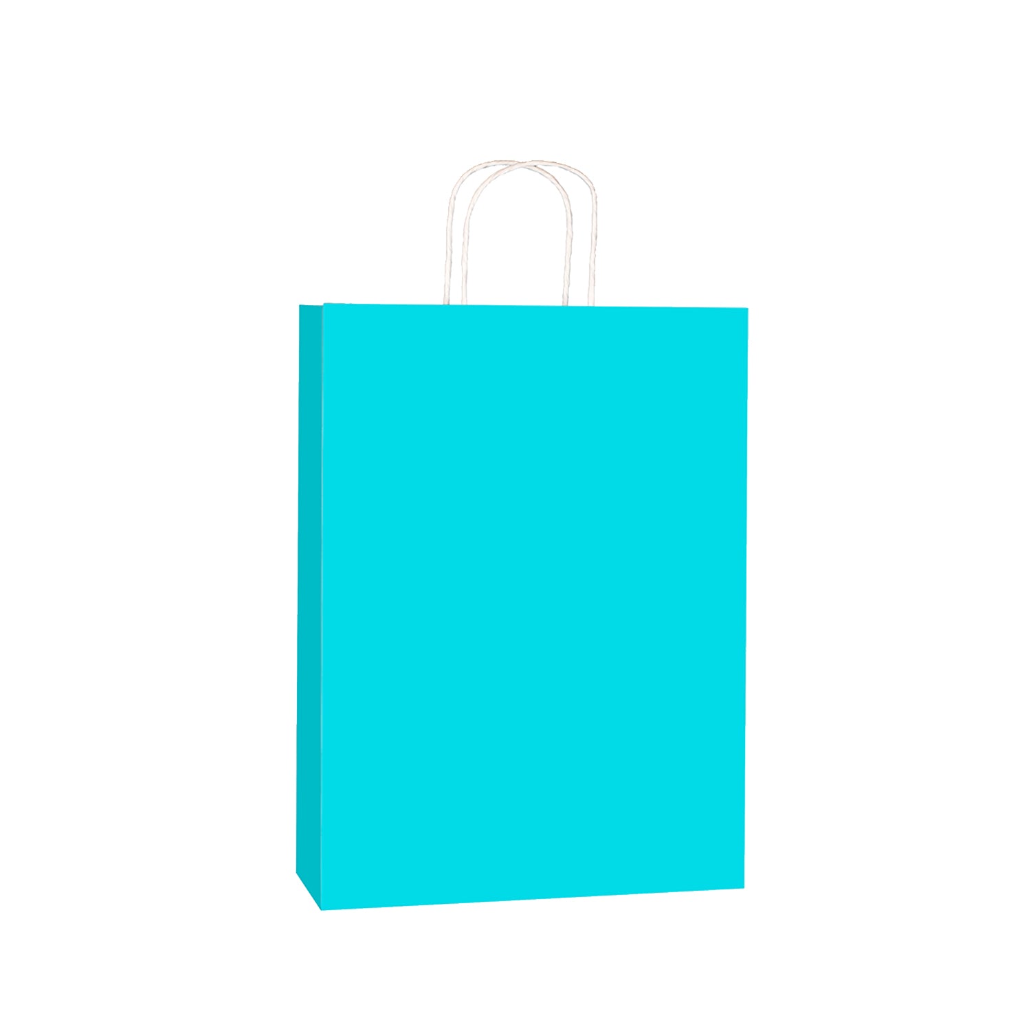 Sky Blue Kraft w/twist handle  (price per 250) - BagMasters Australia