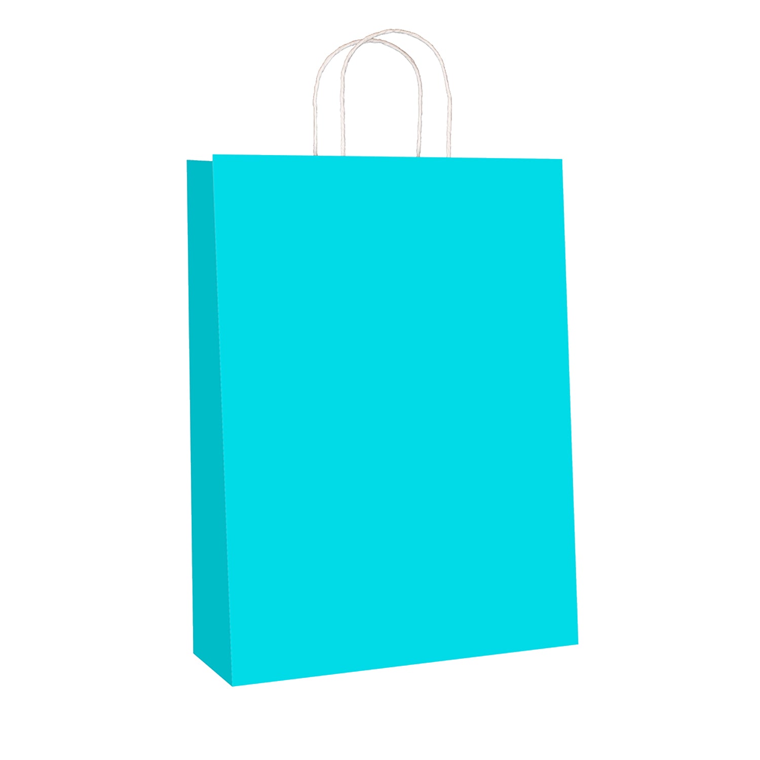 Sky Blue Kraft w/twist handle  (price per 250) - BagMasters Australia