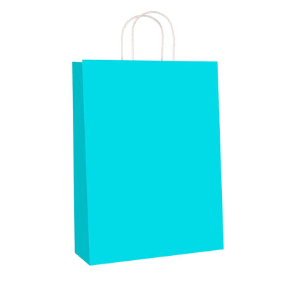 Sky Blue Kraft w/twist handle  (price per 250) - BagMasters Australia